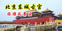 鸡巴日必中国北京-东城古宫旅游风景区
